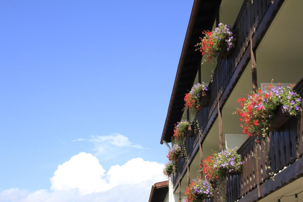 Hotel Alpenblick Berghof Halblech Pokój zdjęcie