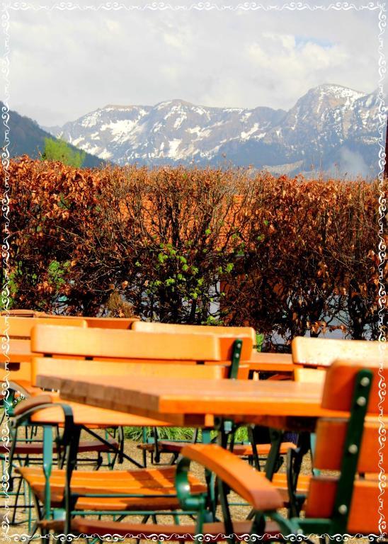 Hotel Alpenblick Berghof Halblech Zewnętrze zdjęcie